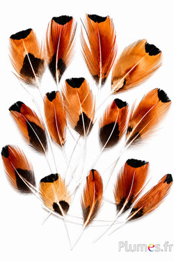 Blütenblätter aus Federn - 6-9 cm - natur